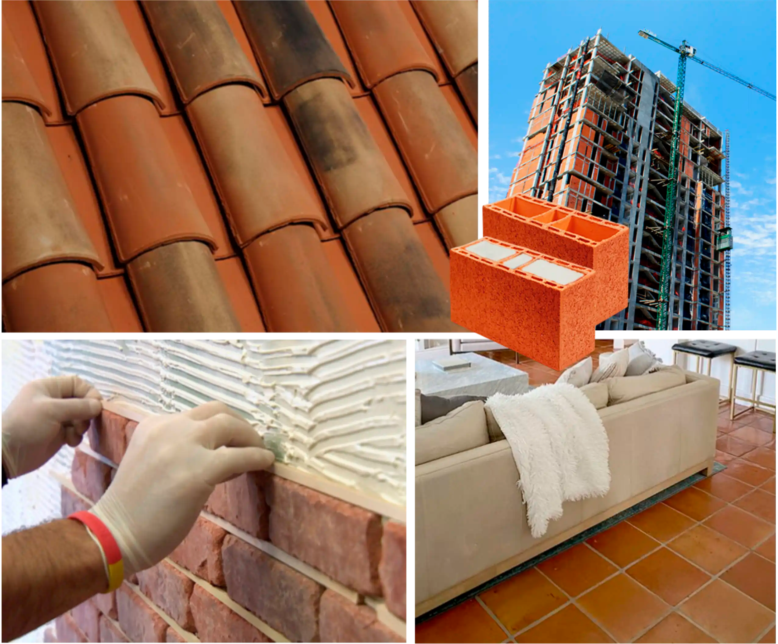 teja loseta